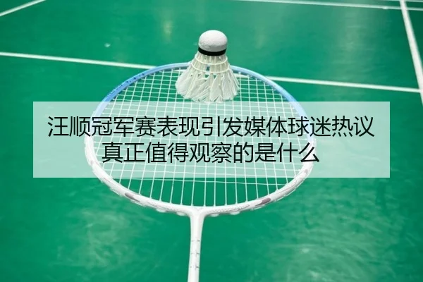 汪顺冠军赛表现引发媒体球迷热议 真正值得观察的是什么